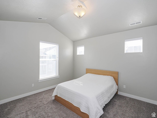 14654 S Bloom Dr W Unit K 304, Herriman, UT 84096 - bedroom with vaulted ceiling, carpet flooring, and baseboards