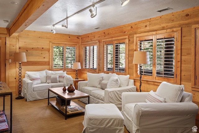 3057 E Balsam Rd, Sundance, UT 84604 - living area featuring wooden walls, healthy amount of natural light, and track lighting