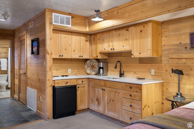 3057 E Balsam Rd, Sundance, UT 84604 - kitchen featuring wooden walls, a sink, light brown cabinets, and light countertops