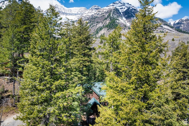 3057 E Balsam Rd, Sundance, UT 84604 - view of mountain background