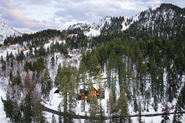3057 E Balsam Rd, Sundance, UT 84604 - mountain view