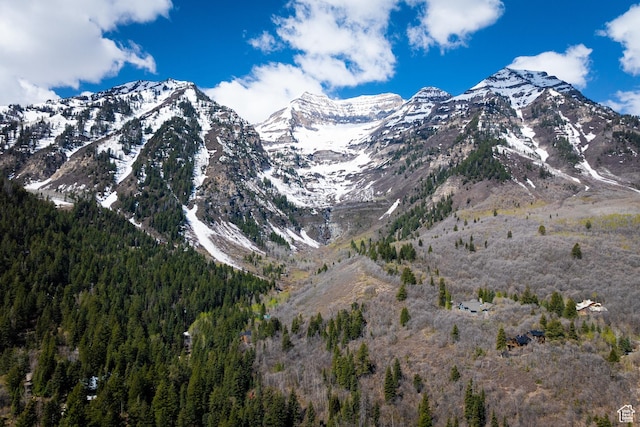 3057 E Balsam Rd, Sundance, UT 84604 - view of mountain backdrop with a forest