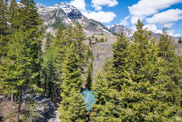 3057 E Balsam Rd, Sundance, UT 84604 - view of mountain background featuring a forest