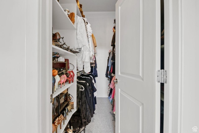 2193 E Robie Hill Ln, Millcreek, UT 84109 - view of spacious closet