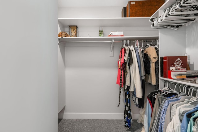 12364 S Boggs Way, Herriman, UT 84096 - spacious closet featuring carpet flooring