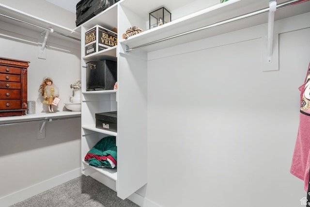 12364 S Boggs Way, Herriman, UT 84096 - walk in closet featuring carpet floors