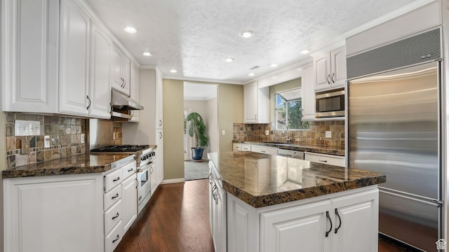 7505 S Creek Rd E, Cottonwood Heights, UT 84093 - kitchen with high end appliances, a center island, under cabinet range hood, a sink, and dark wood-type flooring