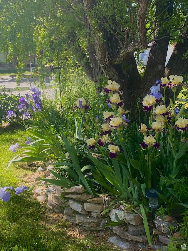 4213 S 2850 W, Roy, UT 84067 - view of nature