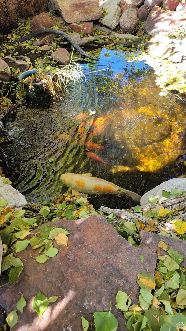 4213 S 2850 W, Roy, UT 84067 - exterior view of a small pond