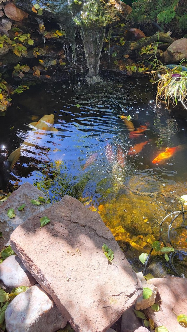 4213 S 2850 W, Roy, UT 84067 - exterior view of a small pond