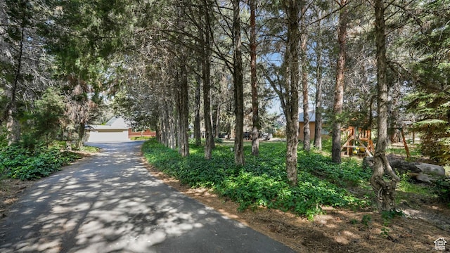 412 S 100 E, Salem, UT 84653 - view of asphalt driveway