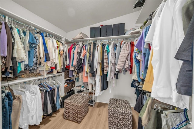 4034 Fortune Way, Washington, UT 84780 - walk in closet with wood finished floors and lofted ceiling