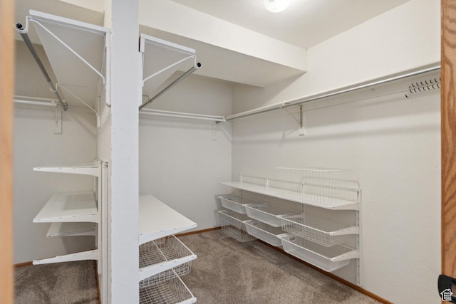 6530 Snow View Dr, Park City, UT 84098 - walk in closet with carpet