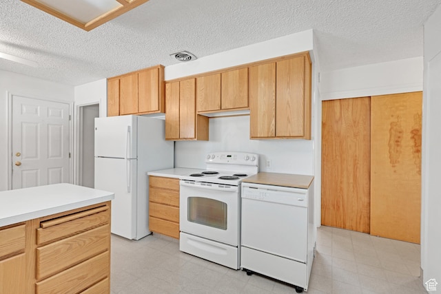 2458 N 575 E, North Ogden, UT 84414 - kitchen with white appliances, light flooring, light countertops, and a textured ceiling