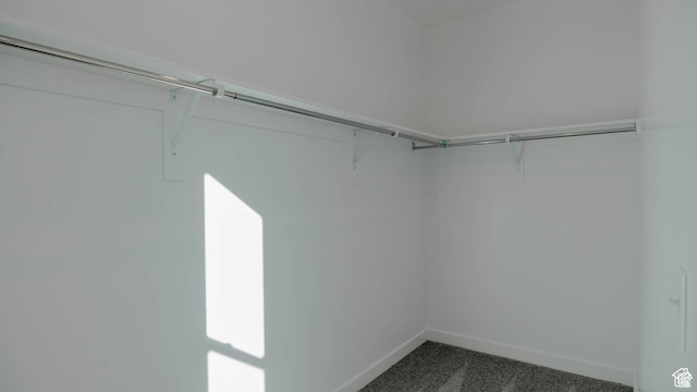 877 W Sika Cir S Unit 203, Saratoga Springs, UT 84045 - spacious closet with dark carpet