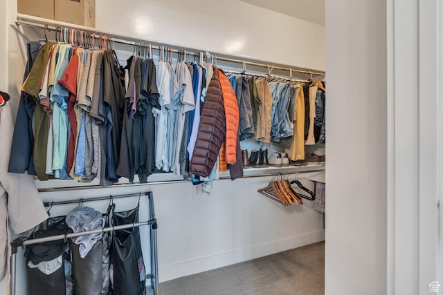 15058 S Spring Canyon Dr, Herriman, UT 84096 - spacious closet featuring carpet floors