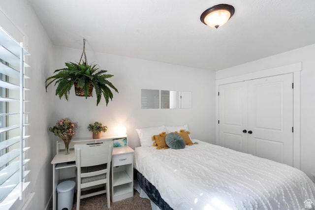 3547 E Jacobs Way, Eagle Mountain, UT 84005 - bedroom with a closet and carpet floors