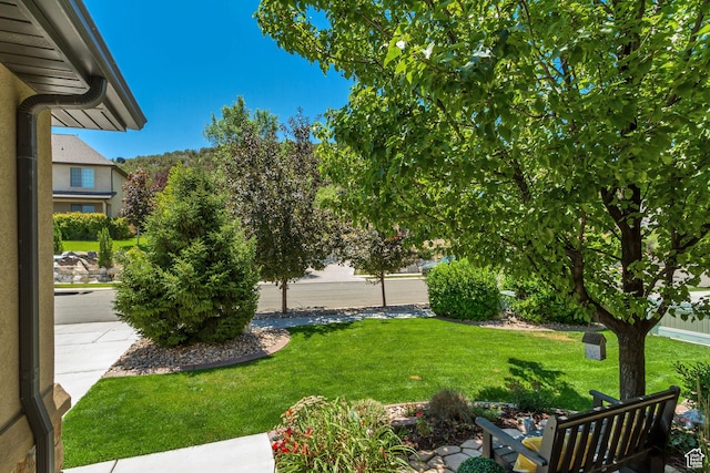 3547 E Jacobs Way, Eagle Mountain, UT 84005 - photo 5