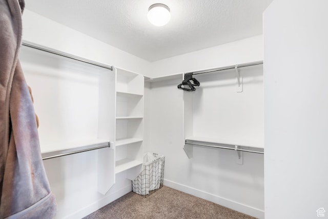 3547 E Jacobs Way, Eagle Mountain, UT 84005 - walk in closet with carpet flooring