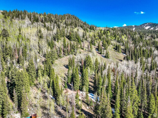 8041 S Old Prospect Ave, Brighton, UT 84121