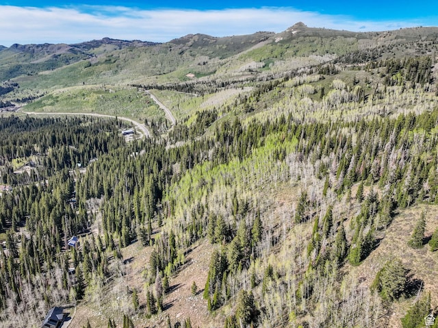 8041 S Old Prospect Ave, Brighton, UT 84121