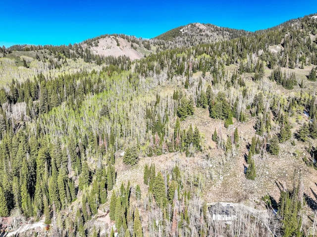8041 S Old Prospect Ave, Brighton, UT 84121