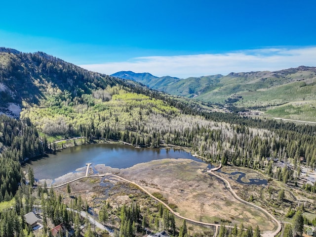 8041 S Old Prospect Ave, Brighton, UT 84121