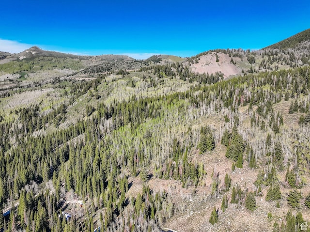 8041 S Old Prospect Ave, Brighton, UT 84121