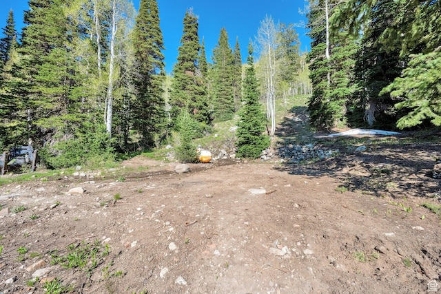 8041 S Old Prospect Ave, Brighton, UT 84121