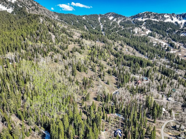 8041 S Old Prospect Ave, Brighton, UT 84121