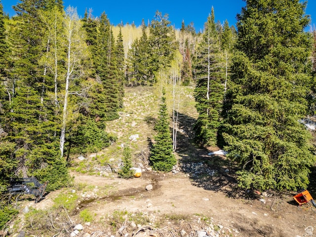 8041 S Old Prospect Ave, Brighton, UT 84121