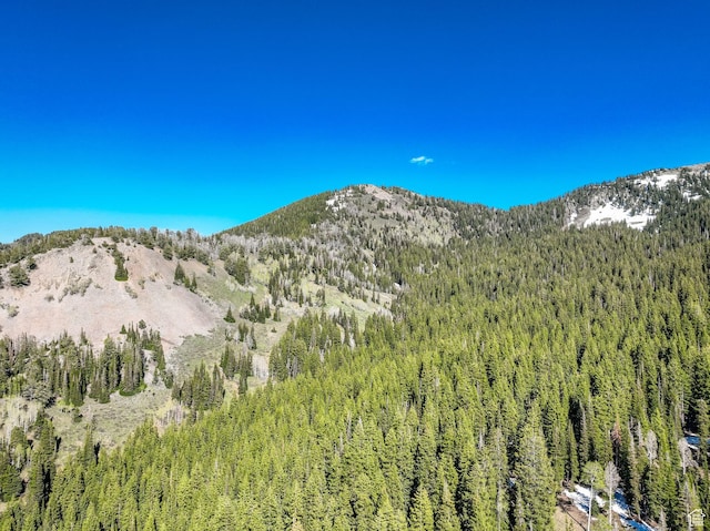 8041 S Old Prospect Ave, Brighton, UT 84121