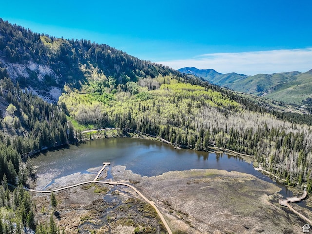 8041 S Old Prospect Ave, Brighton, UT 84121