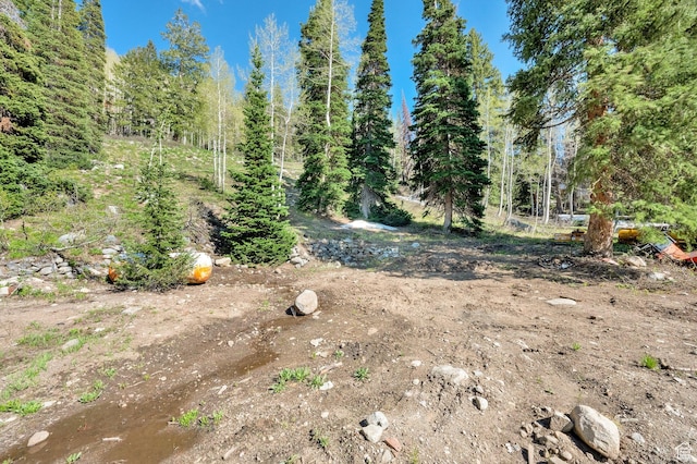 8041 S Old Prospect Ave, Brighton, UT 84121