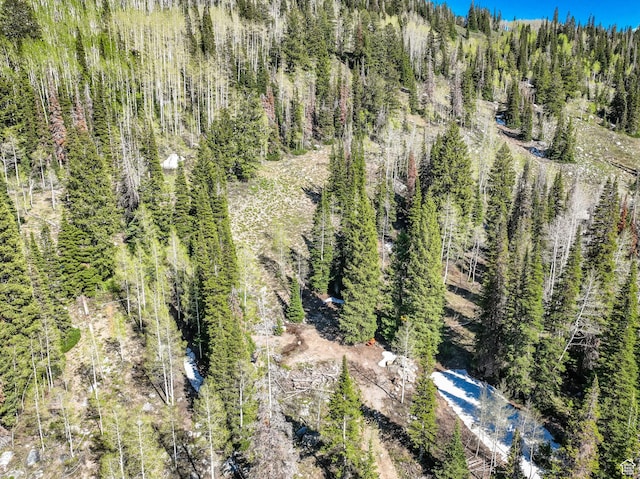 8041 S Old Prospect Ave, Brighton, UT 84121