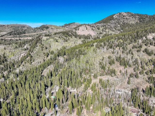 8041 S Old Prospect Ave, Brighton, UT 84121