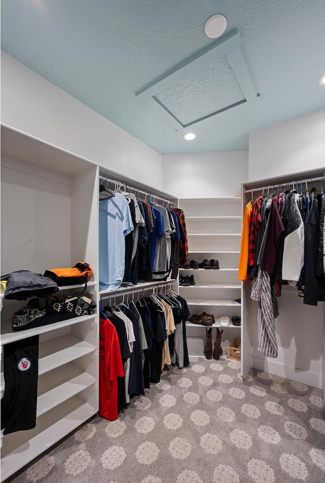 2609 W 3075 S, West Haven, UT 84401 - spacious closet with attic access and carpet flooring