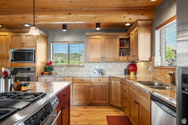 125 W Persimmon Dr Unit 2, Garden City, UT 84028 - kitchen with appliances with stainless steel finishes, light wood-style flooring, a sink, and plenty of natural light