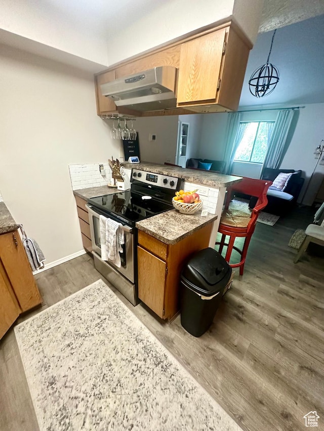 1175 S Canyon Rd E Unit 81, Ogden, UT 84404 - kitchen featuring stainless steel electric range, under cabinet range hood, a peninsula, light wood-style floors, and baseboards