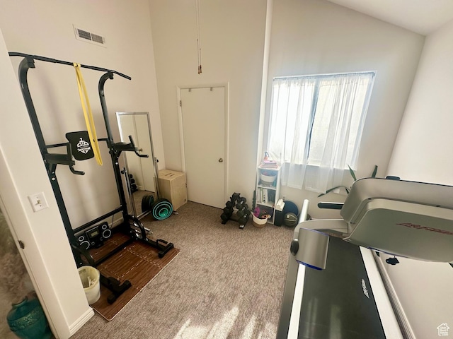 1175 S Canyon Rd E Unit 81, Ogden, UT 84404 - workout room with carpet floors and high vaulted ceiling