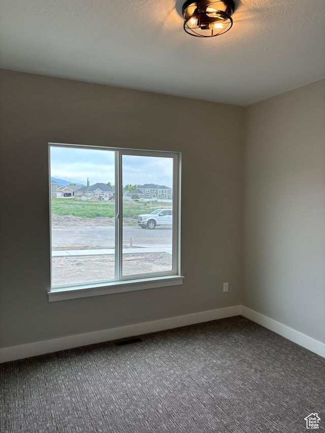 3323 N 1200 W, Pleasant View, UT 84414 - unfurnished room with carpet floors and plenty of natural light