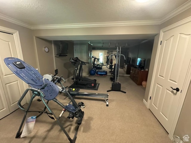 4862 S Kiwana Dr, South Ogden, UT 84403 - workout room featuring crown molding, a textured ceiling, and carpet flooring