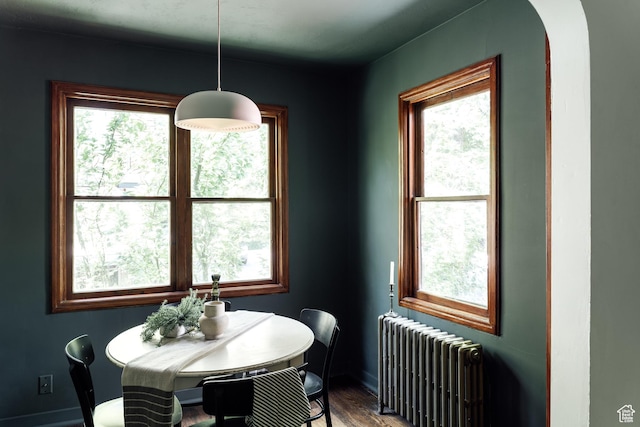 19 S 800 E Unit 3, Salt Lake City, UT 84102 - dining room with radiator, healthy amount of natural light, and baseboards