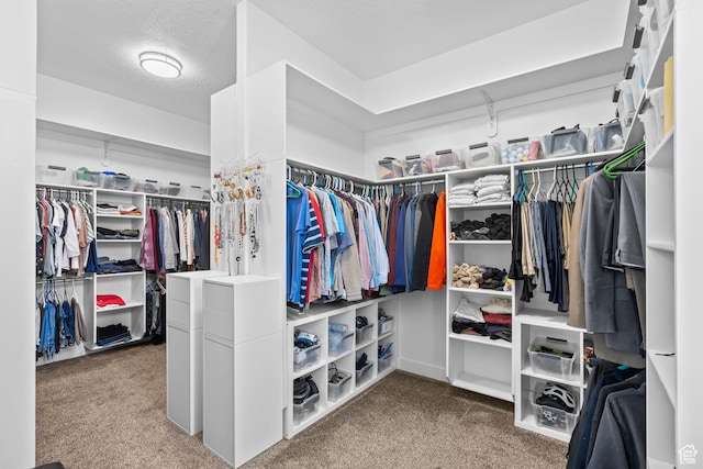 588 S 100 E, Mantua, UT 84324 - walk in closet with carpet flooring