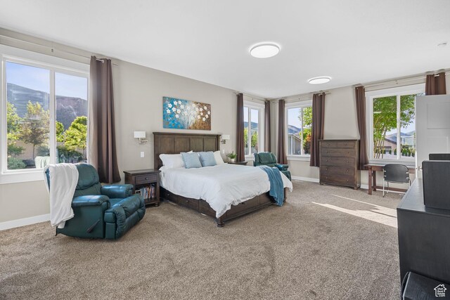 588 S 100 E, Mantua, UT 84324 - bedroom with carpet, multiple windows, and baseboards