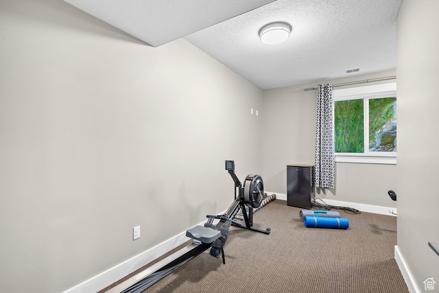 588 S 100 E, Mantua, UT 84324 - exercise area with baseboards, carpet flooring, and a textured ceiling