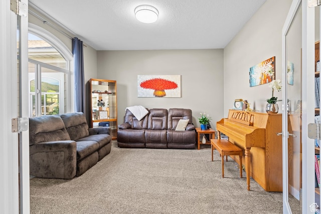 588 S 100 E, Mantua, UT 84324 - carpeted living area with a textured ceiling