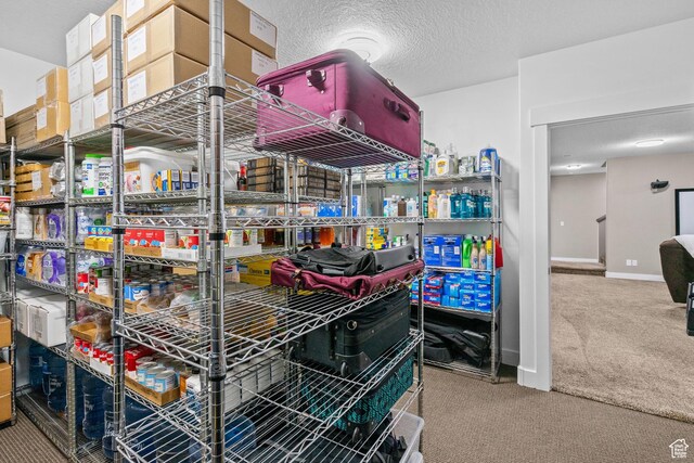 588 S 100 E, Mantua, UT 84324 - view of storage room