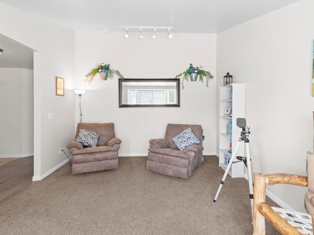 164 S 400 E, Fairview, UT 84629 - sitting room with carpet flooring, rail lighting, and baseboards