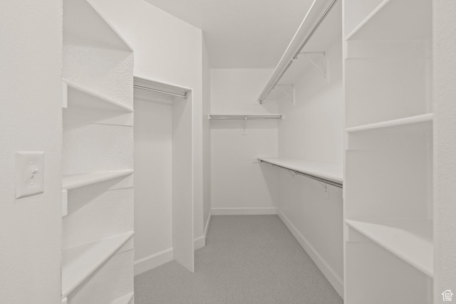 923 W 965 N, Orem, UT 84057 - walk in closet with light colored carpet